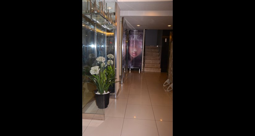 Asrın Business Hotel Ankara Resim 