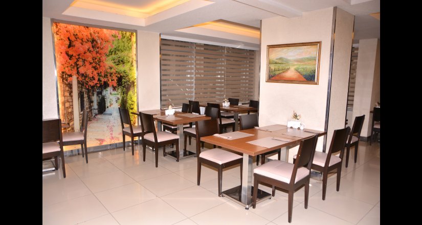 Asrın Business Hotel Ankara Resim 