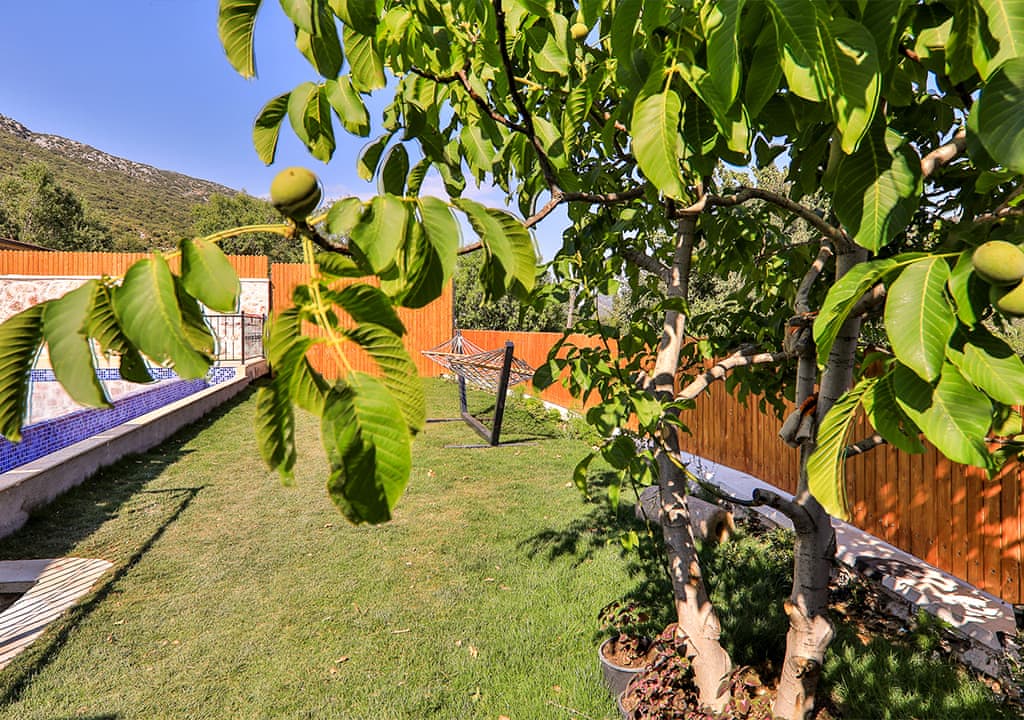 Villa Çınar Resim 