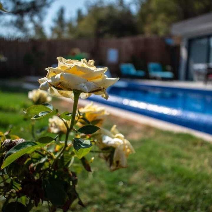 Villa KAL309 Resim 